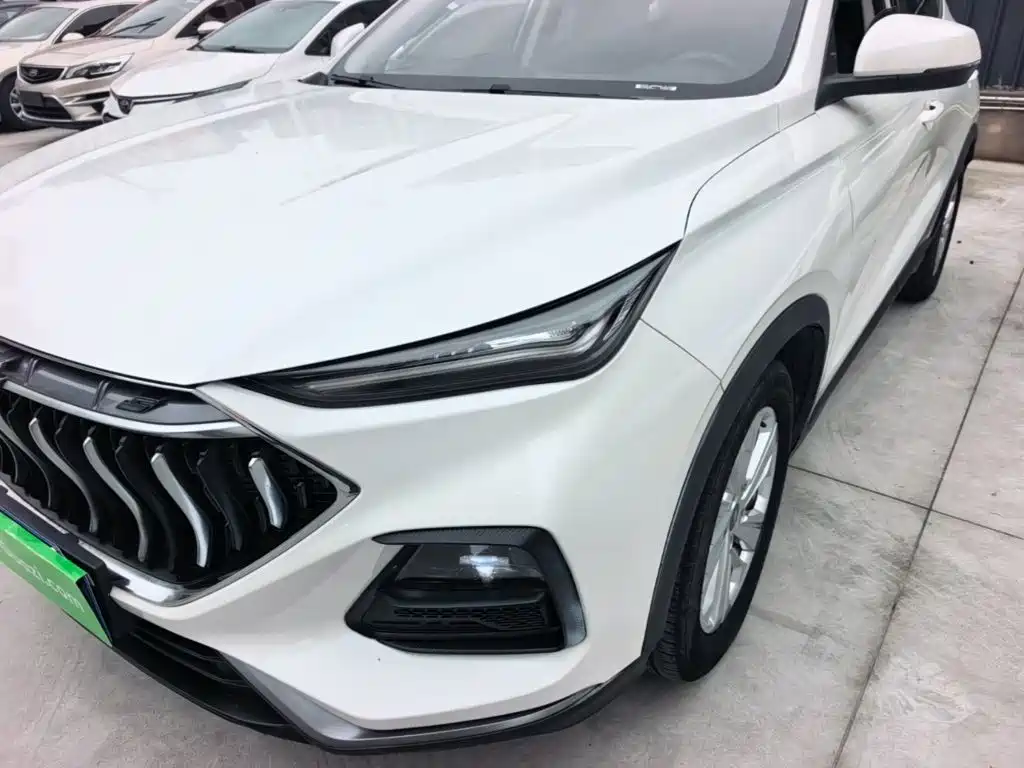 Oshan Oushang X5 — миниатюра 24