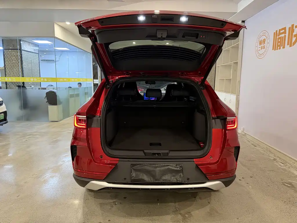 BYD PLUS New Energy — миниатюра 8
