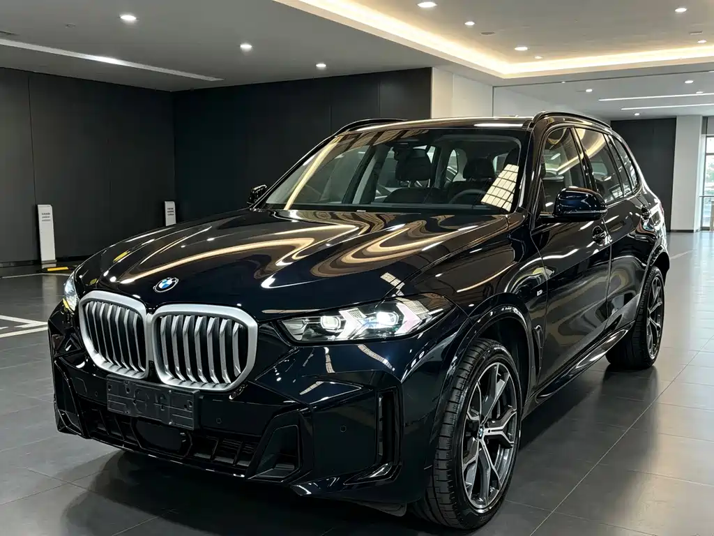 BMW X5 — миниатюра 4