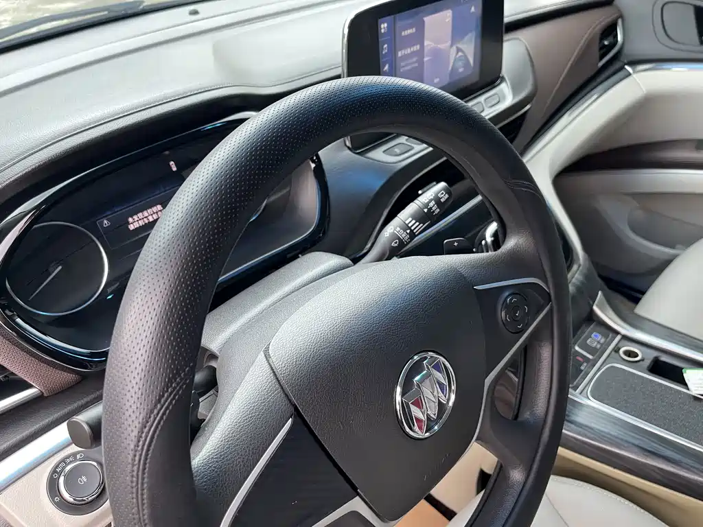 Buick GL8 — миниатюра 12