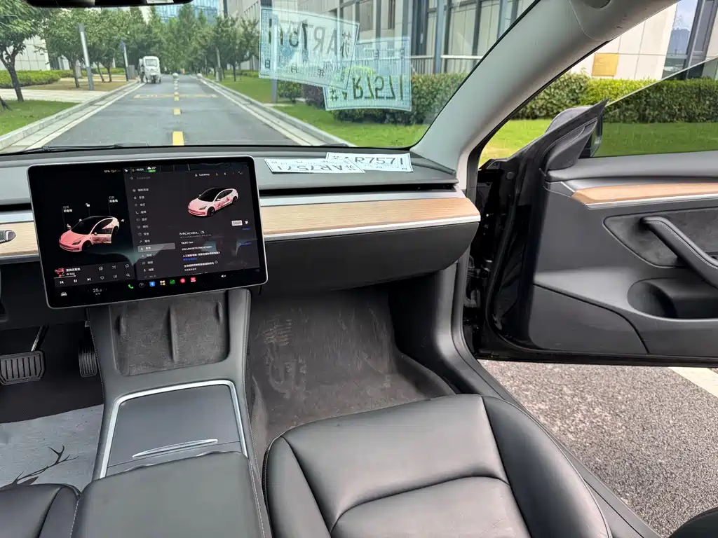 Tesla Model 3 — миниатюра 29
