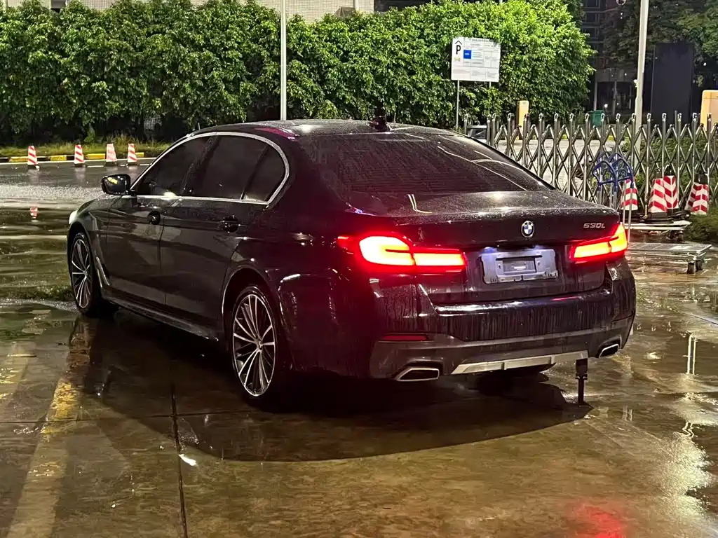 BMW 5 Series — миниатюра 3