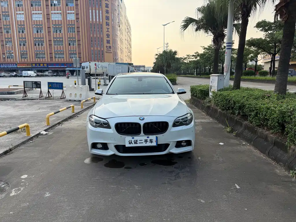 BMW 5 Series — миниатюра 2