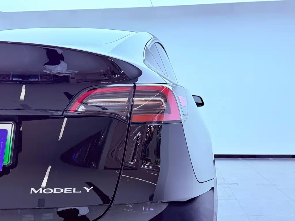 Tesla Model Y — миниатюра 23