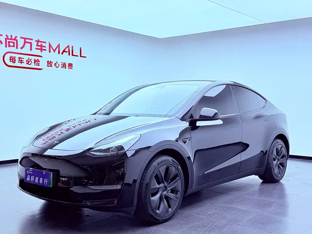 Tesla Model Y — миниатюра 3