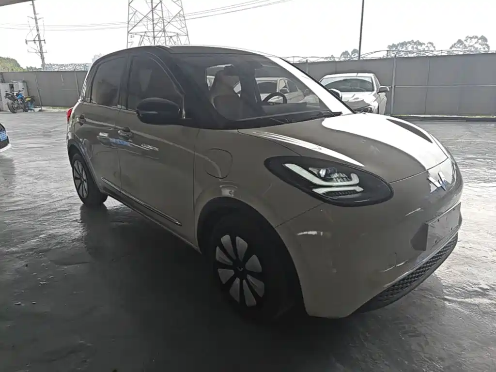 Wuling Bingo — миниатюра 4