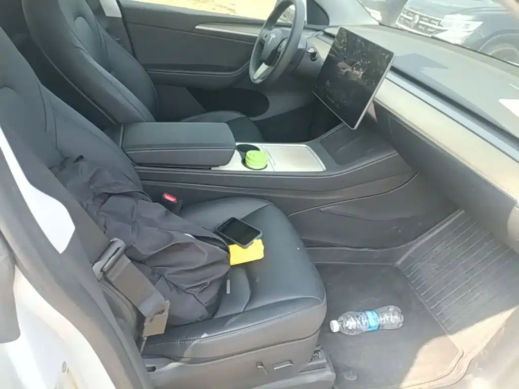 Tesla Model Y — миниатюра 25