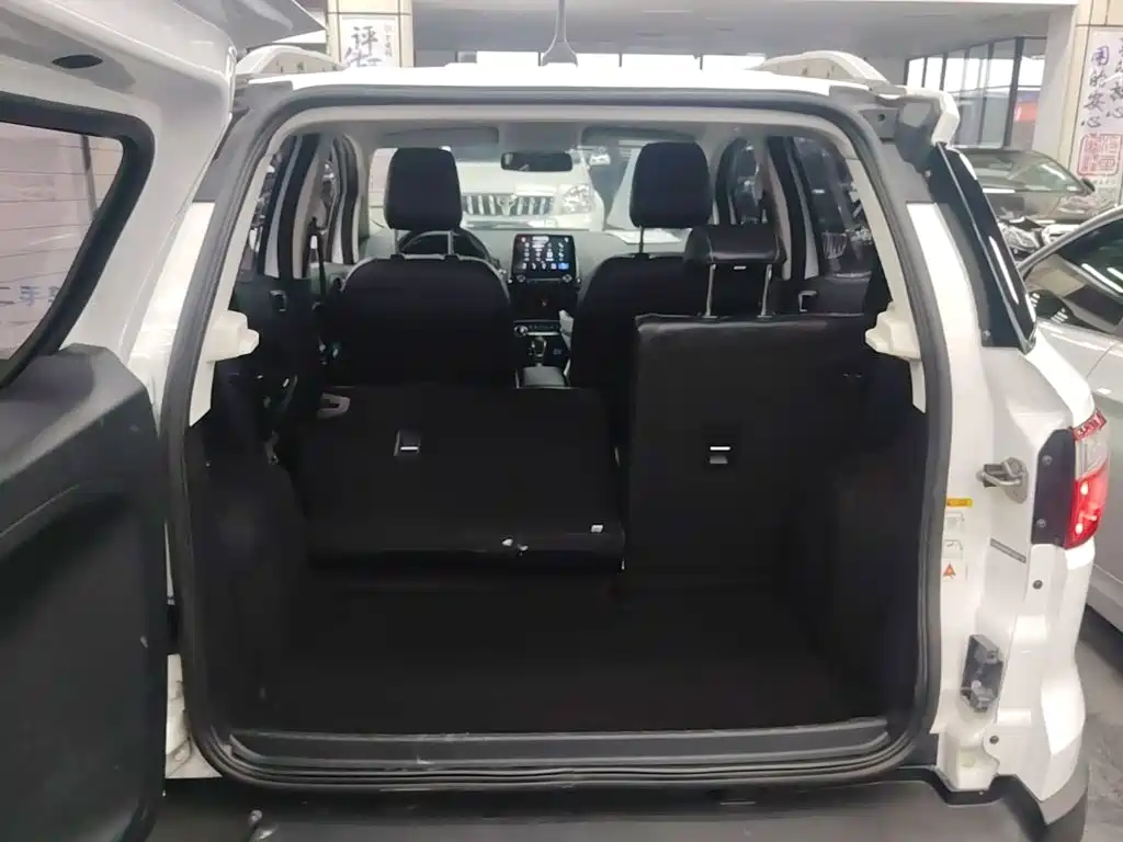 Ford Ecosport — миниатюра 19