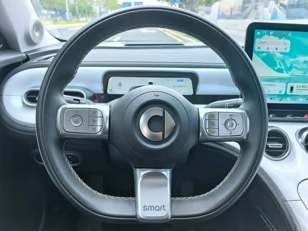 smart Smart #3 — миниатюра 5