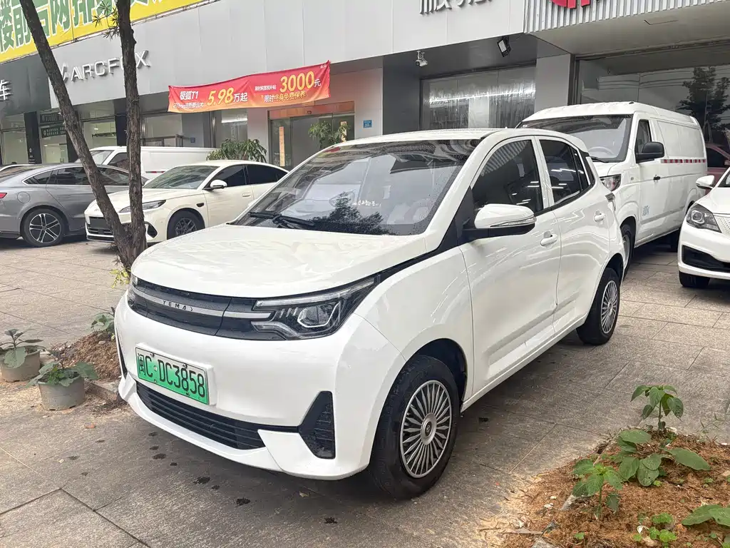 Lei Ding 雷丁芒果Pro 2022