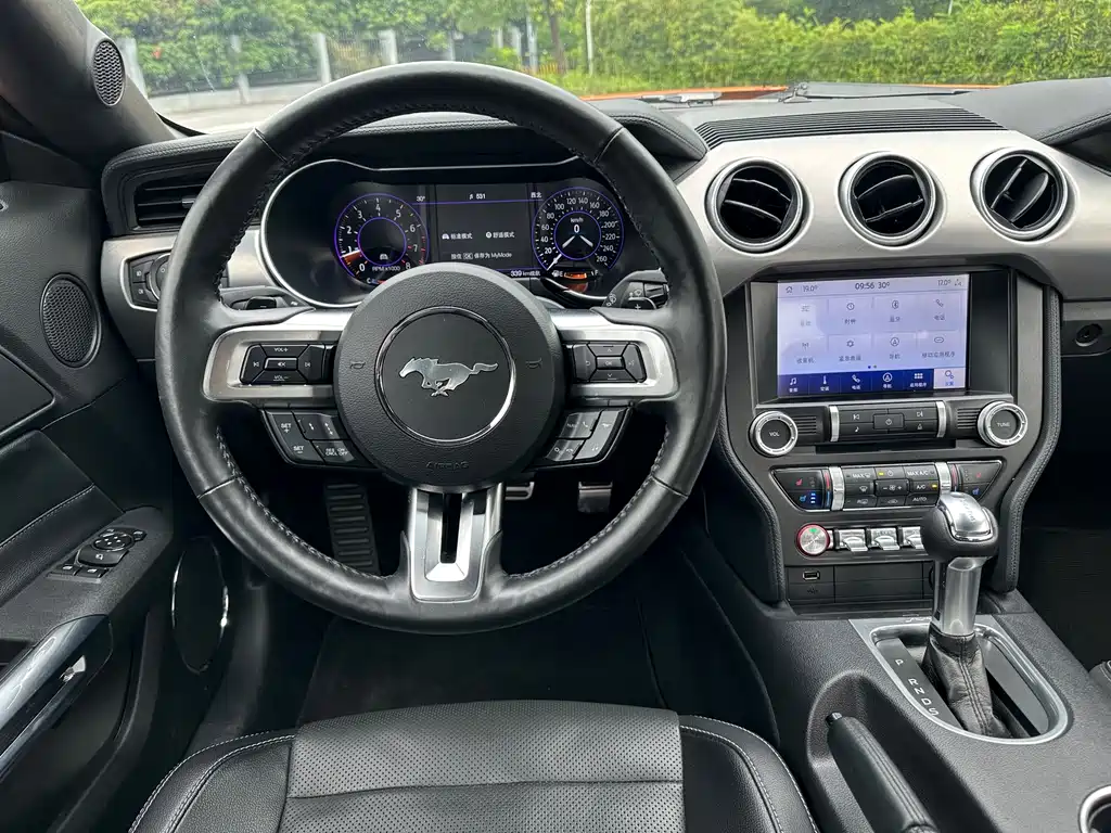 Ford Mustang — миниатюра 14