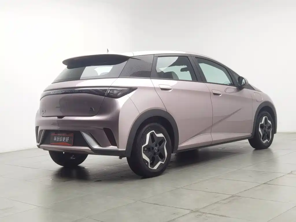 BYD Dolphin — миниатюра 2