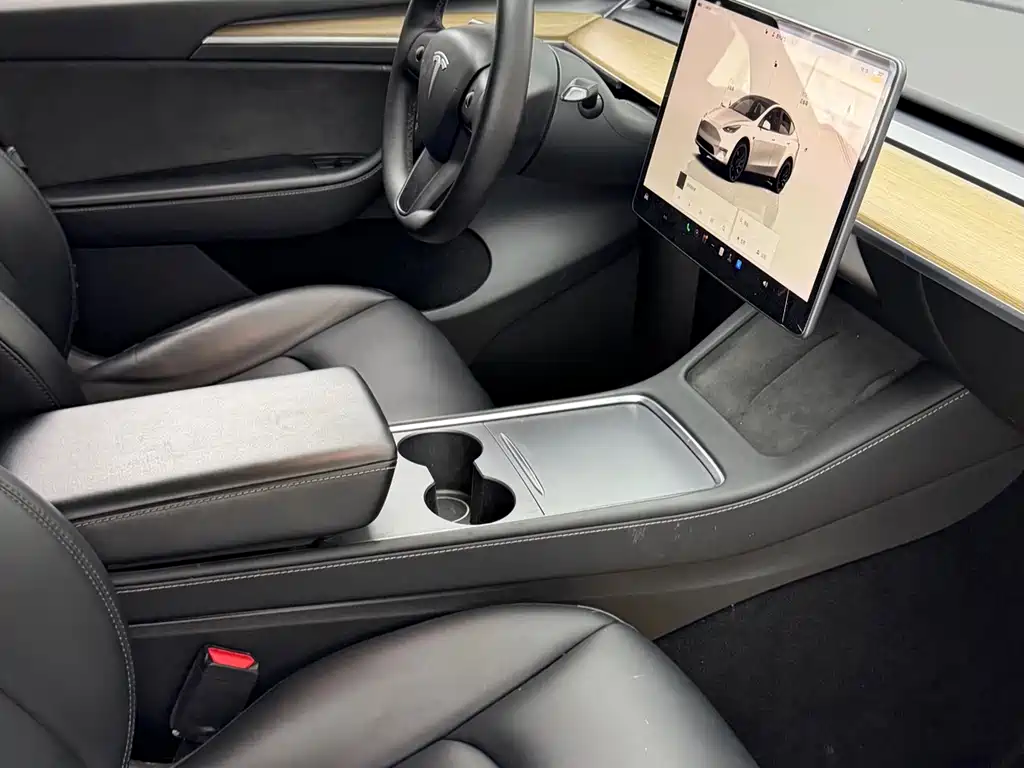 Tesla Model Y — миниатюра 8
