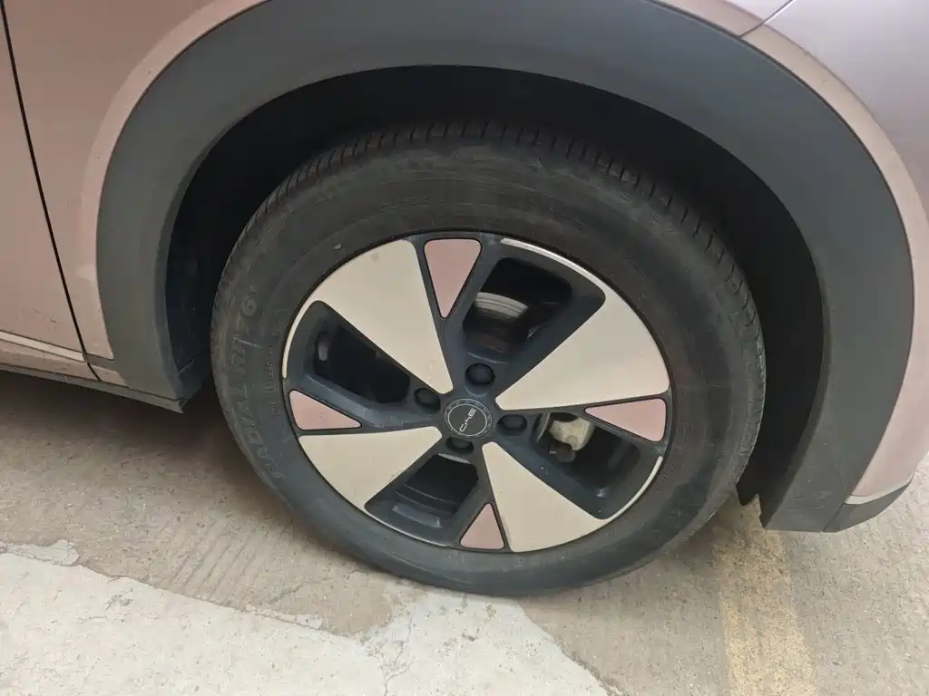 BYD Dolphin — миниатюра 26