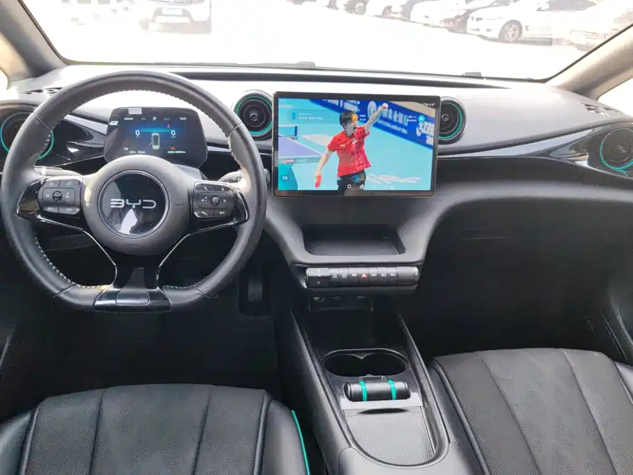 BYD Dolphin — миниатюра 12