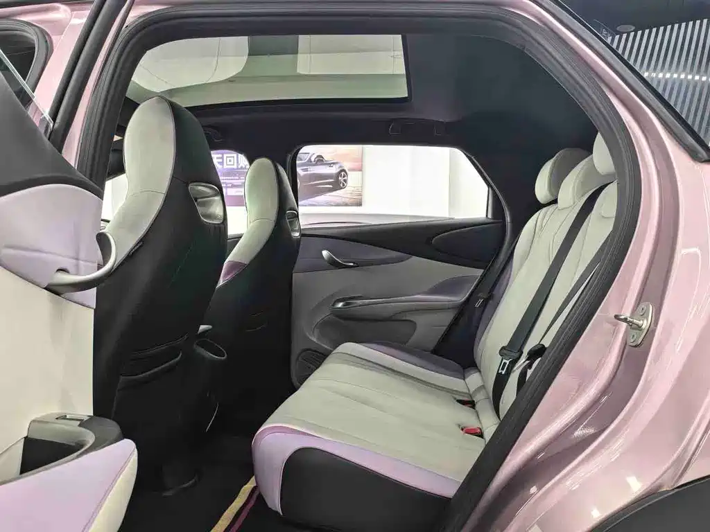 BYD Dolphin — миниатюра 10