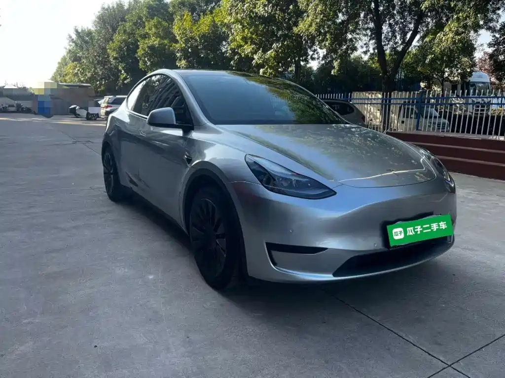 Tesla Model Y — миниатюра 4