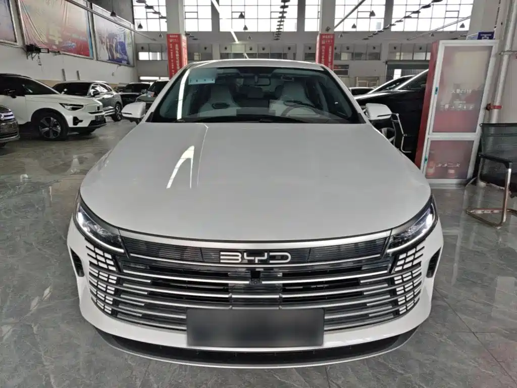 BYD Destroyer 05 — миниатюра 3