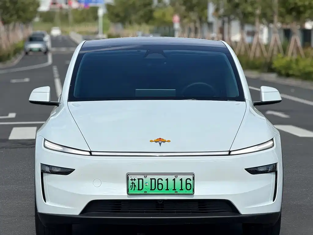 Tesla Model Y — фотографии объявления, Фото 3