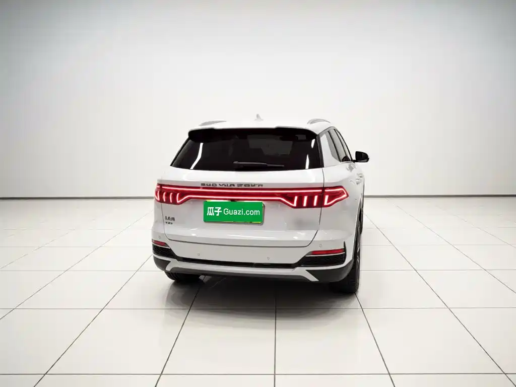 BYD Pro New Energy — миниатюра 5