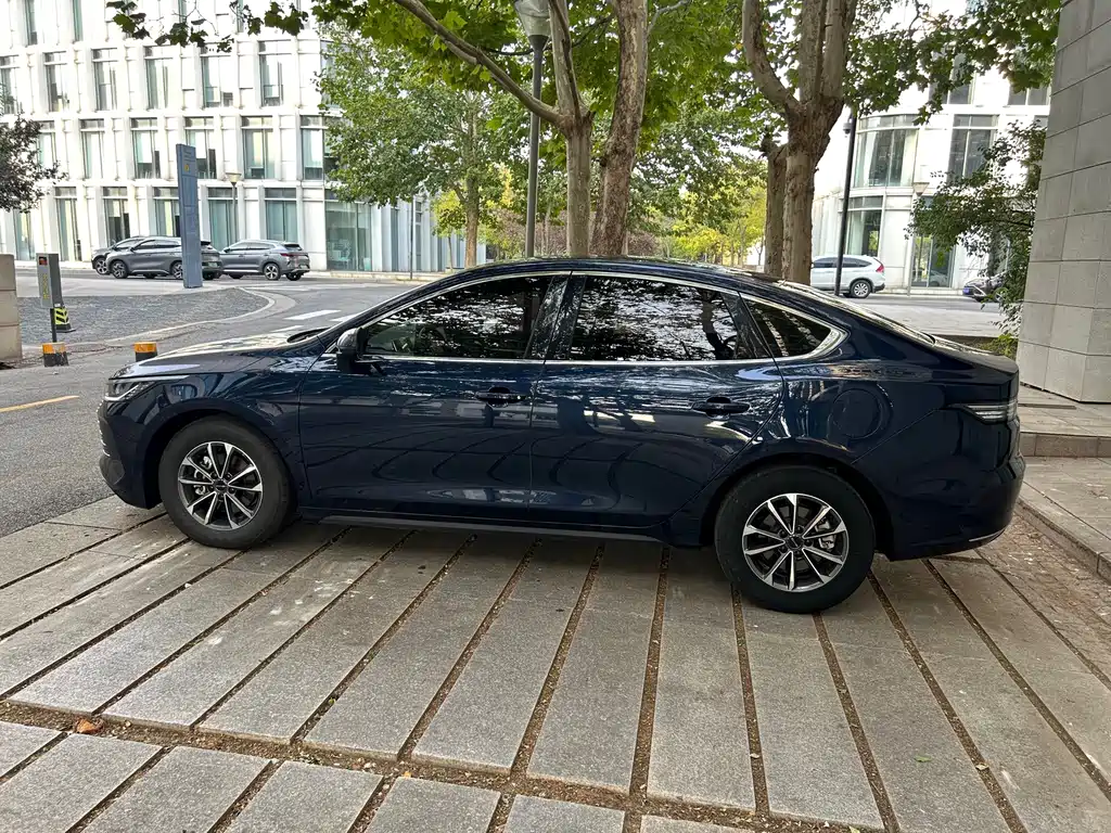 BYD Destroyer 05 — миниатюра 7