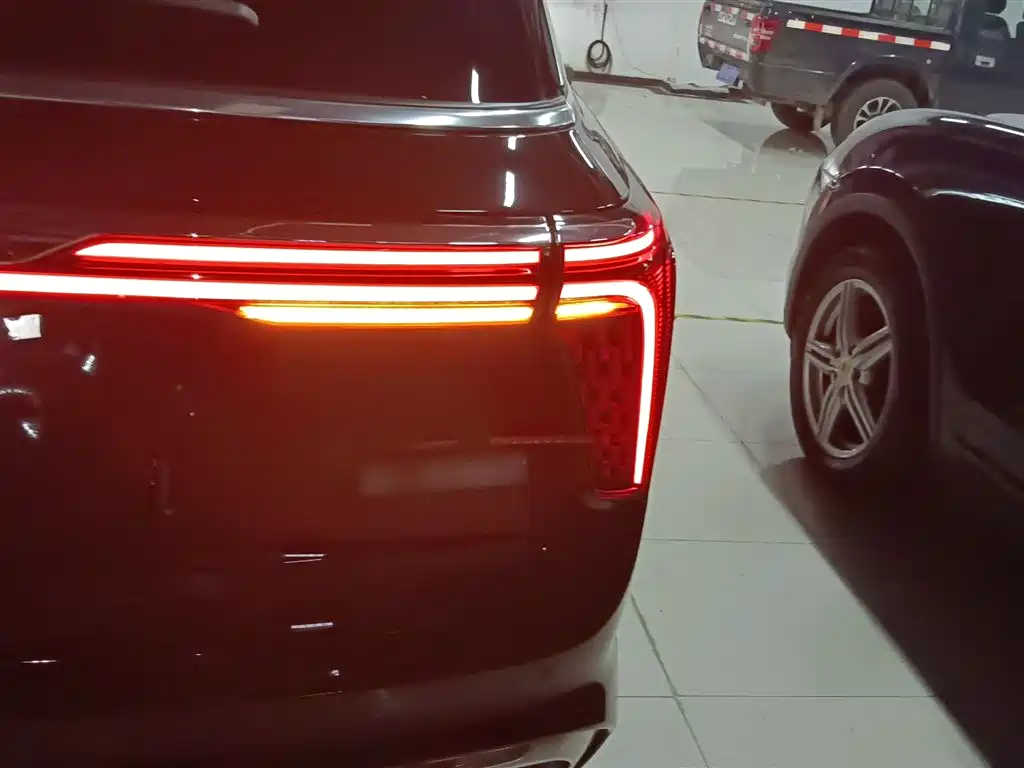 Hongqi E-HS9 2021 510km мест
