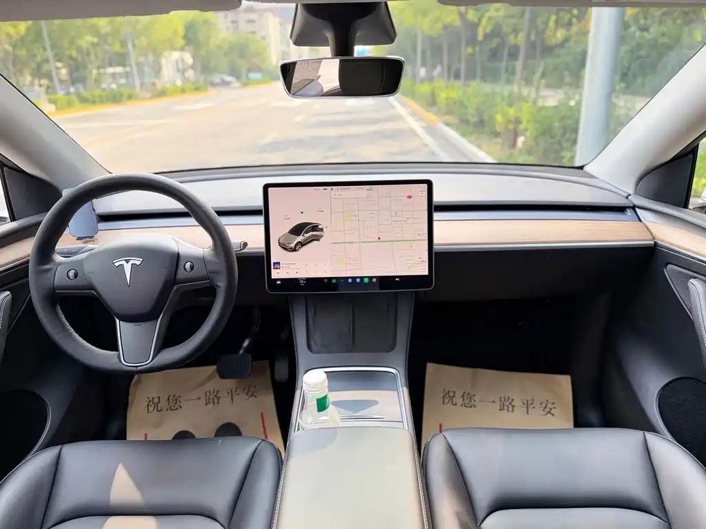 Tesla Model Y — миниатюра 6