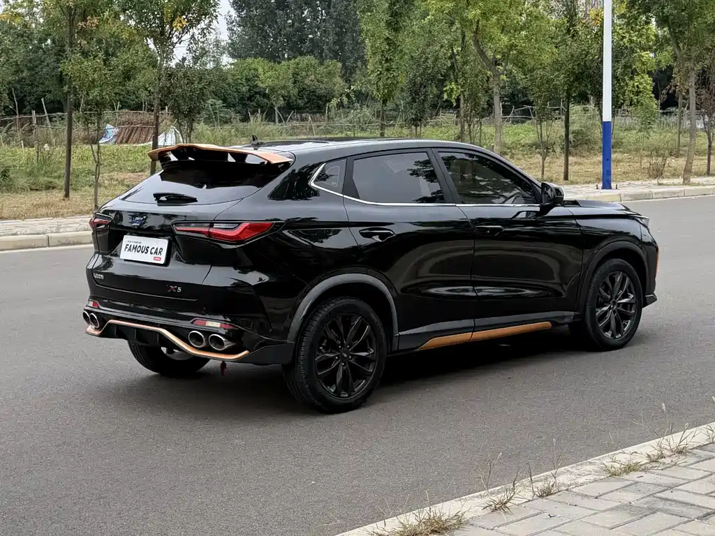 Oshan Oushang X5 — миниатюра 4