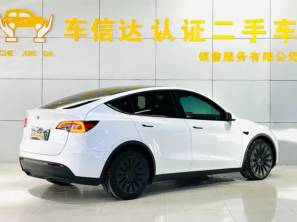 Tesla Model Y — миниатюра 3