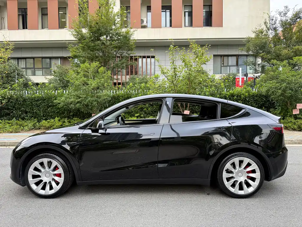 Tesla Model Y — миниатюра 7