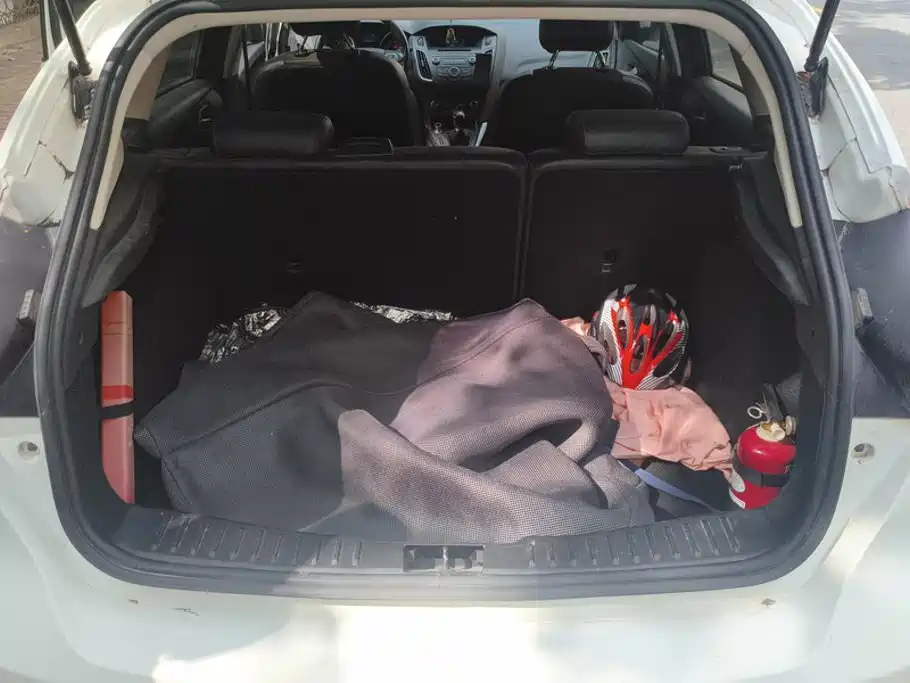 Ford Focus — миниатюра 4