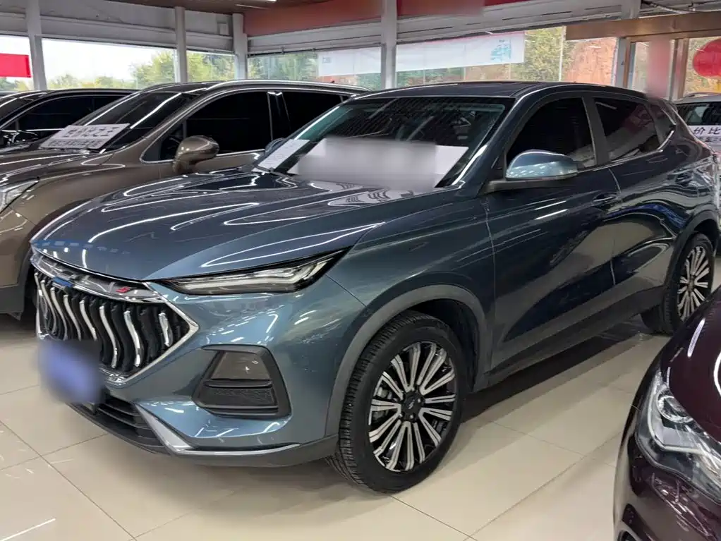 Oshan Oushang X5 — миниатюра 2