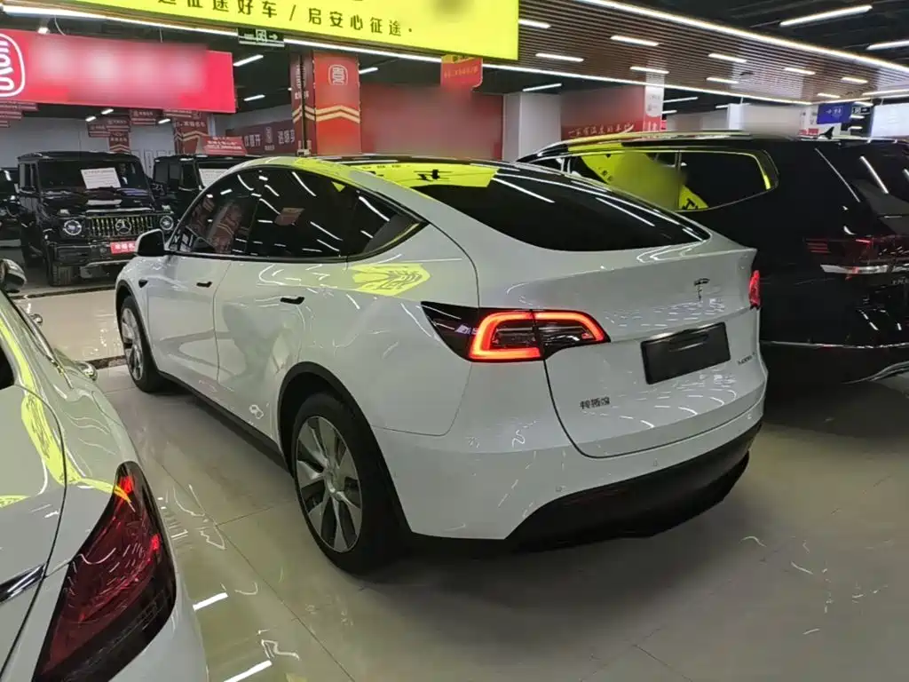 Tesla Model Y — миниатюра 5
