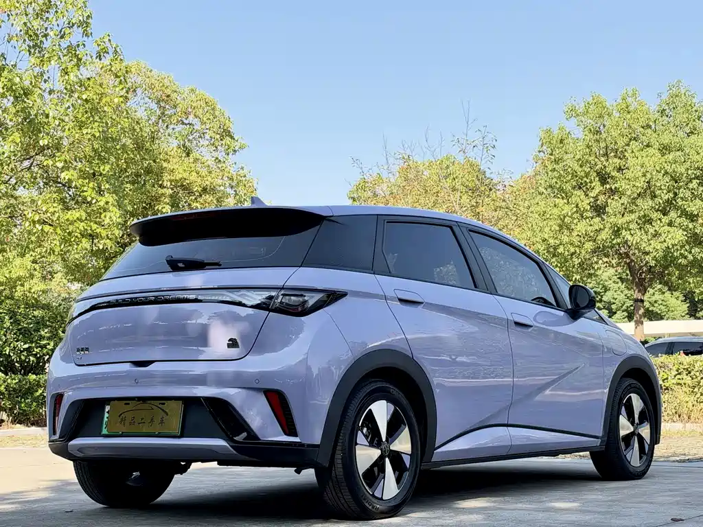 BYD Dolphin — миниатюра 6