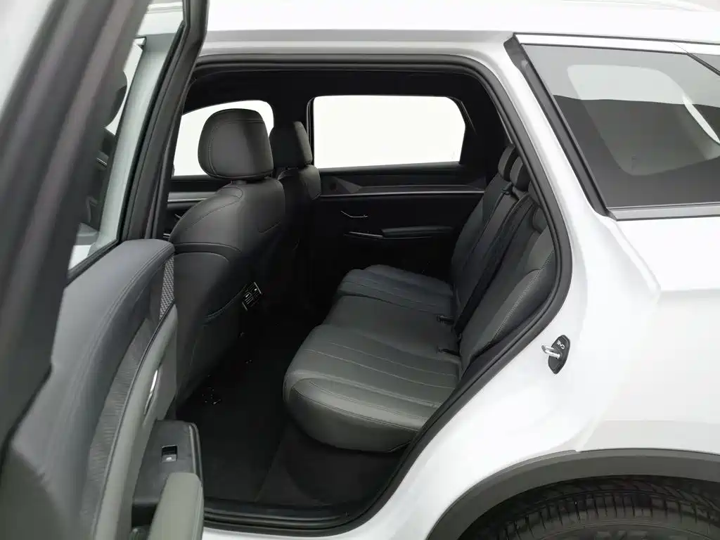 BYD Pro New Energy — миниатюра 15