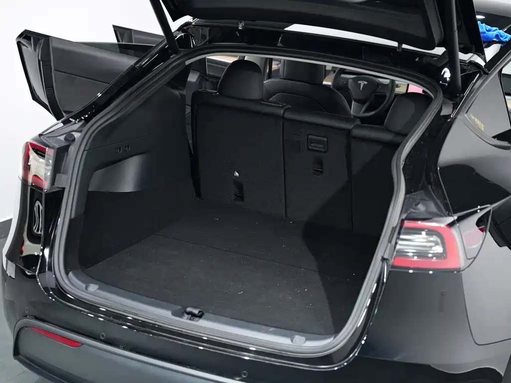 Tesla Model Y — миниатюра 13
