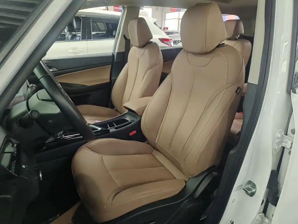 Buick GL6 — миниатюра 15
