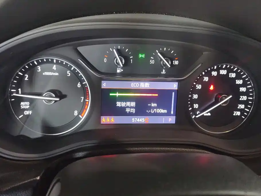 Buick Regal — миниатюра 14