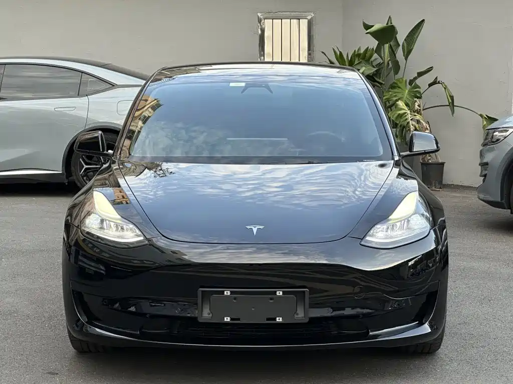 Tesla Model 3 — миниатюра 2