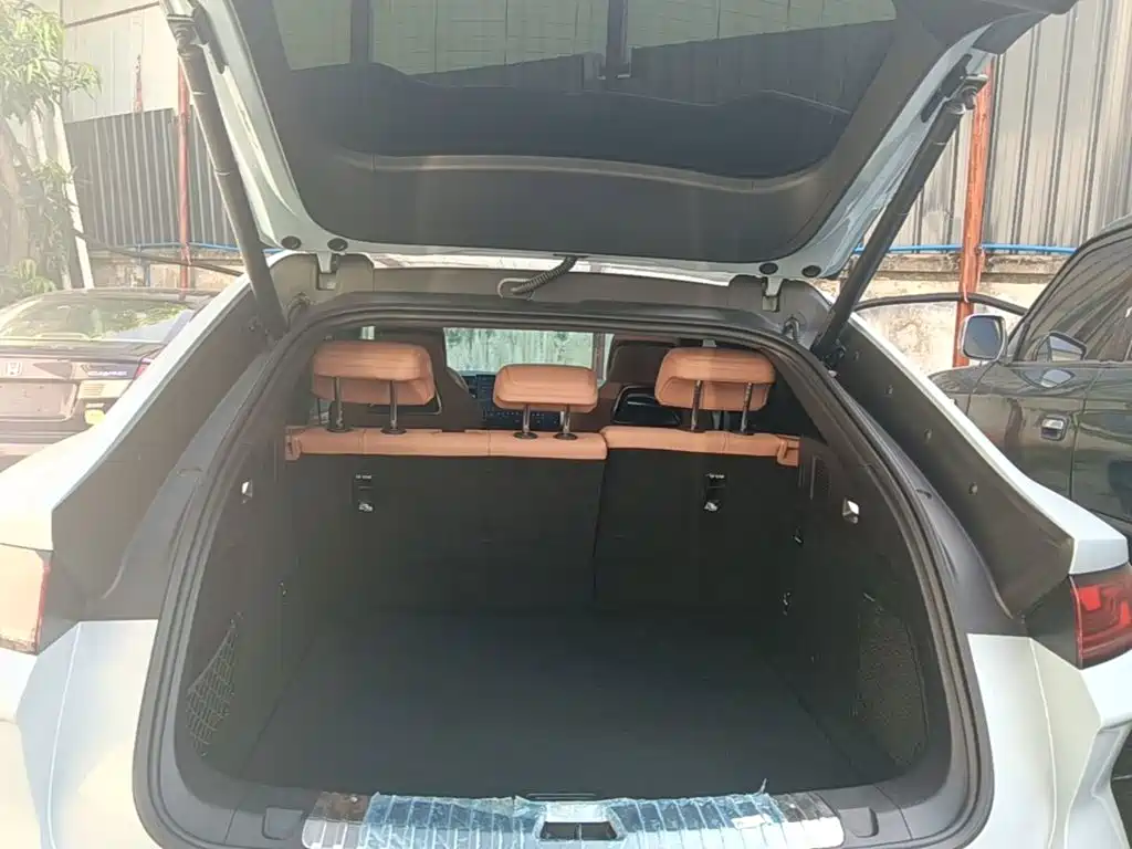 BYD L EV — миниатюра 19