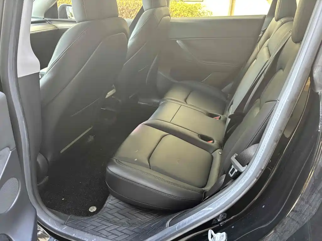 Tesla Model Y — миниатюра 5