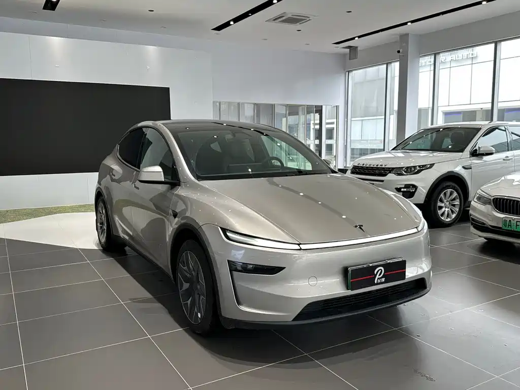 Tesla Model Y L — миниатюра 2