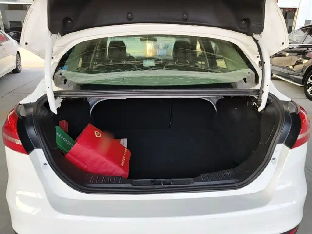 Ford Focus — миниатюра 19