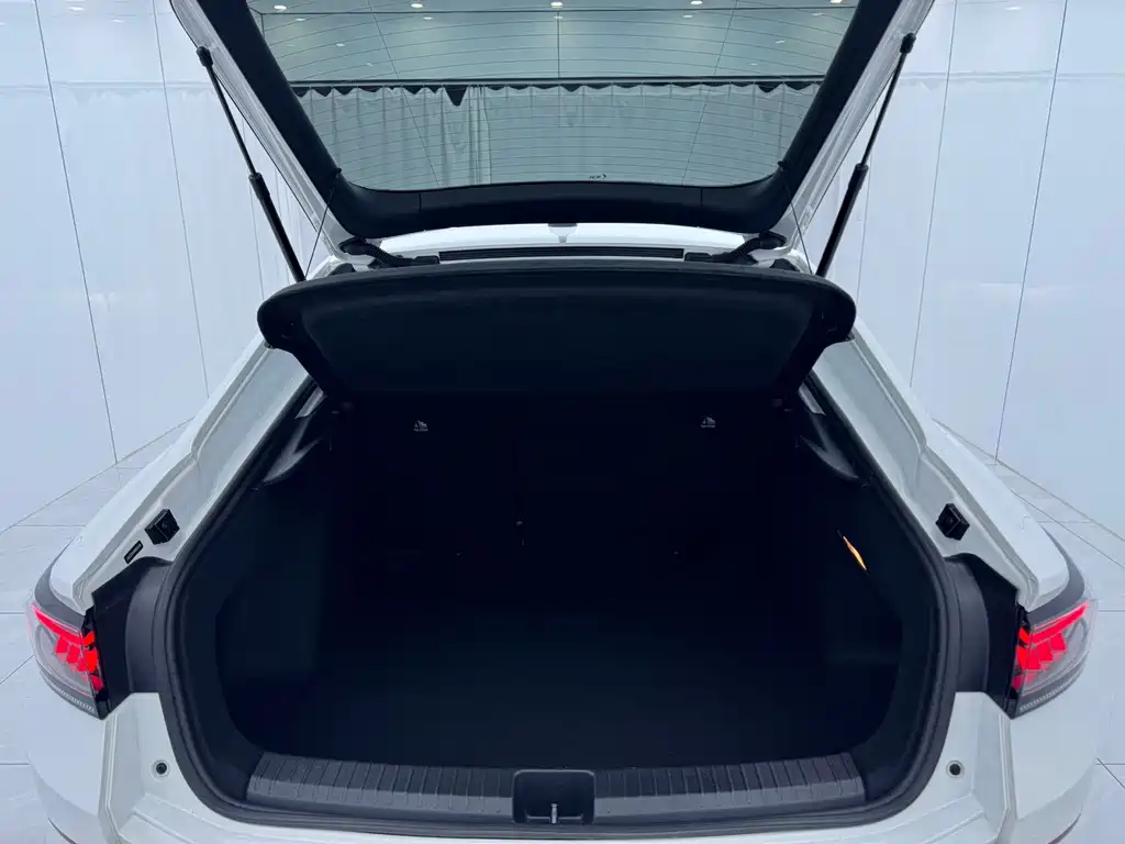 Volkswagen Lamando — миниатюра 15
