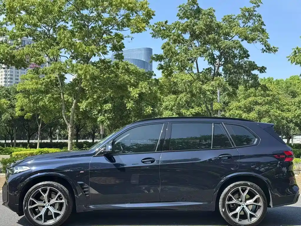 BMW X5 — миниатюра 3