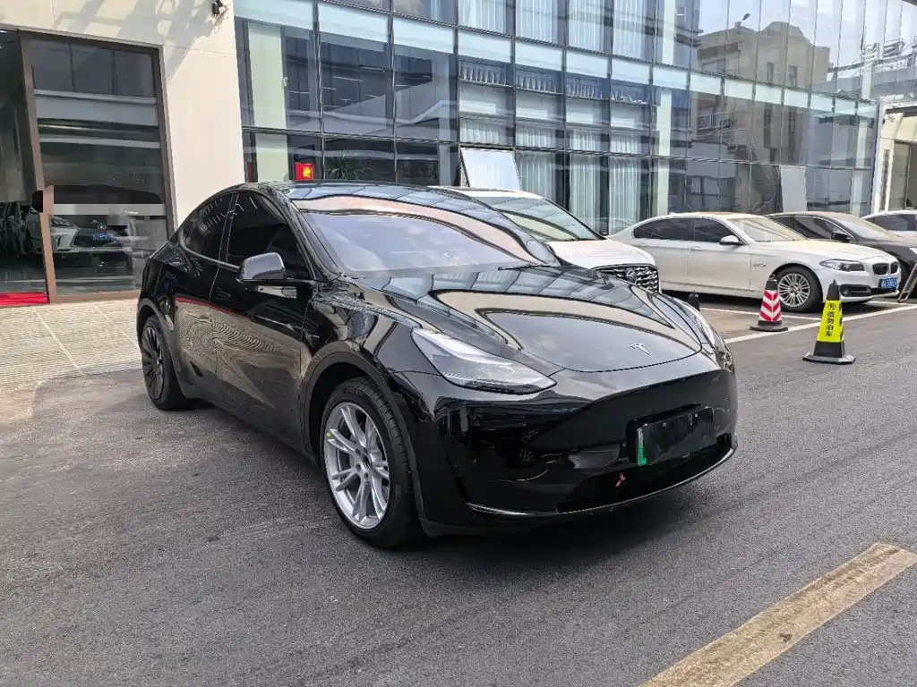 Tesla Model Y — миниатюра 4