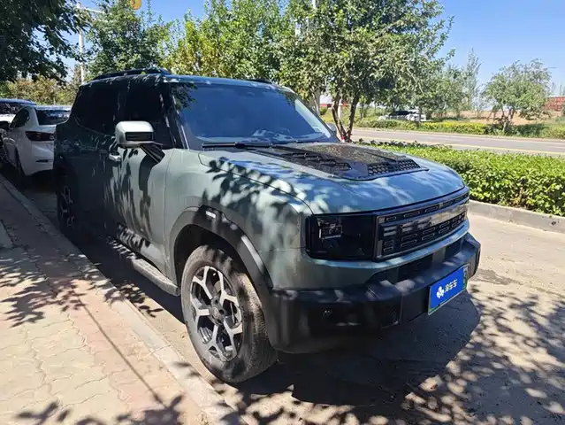 2025 JETOUR Shanhai