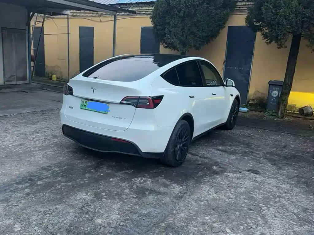 Tesla Model Y — миниатюра 8