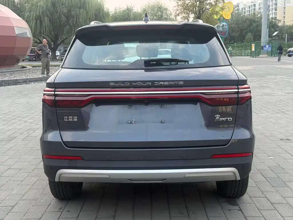 BYD Pro — миниатюра 5