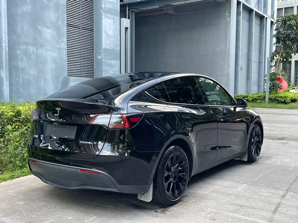 Tesla Model Y — миниатюра 6